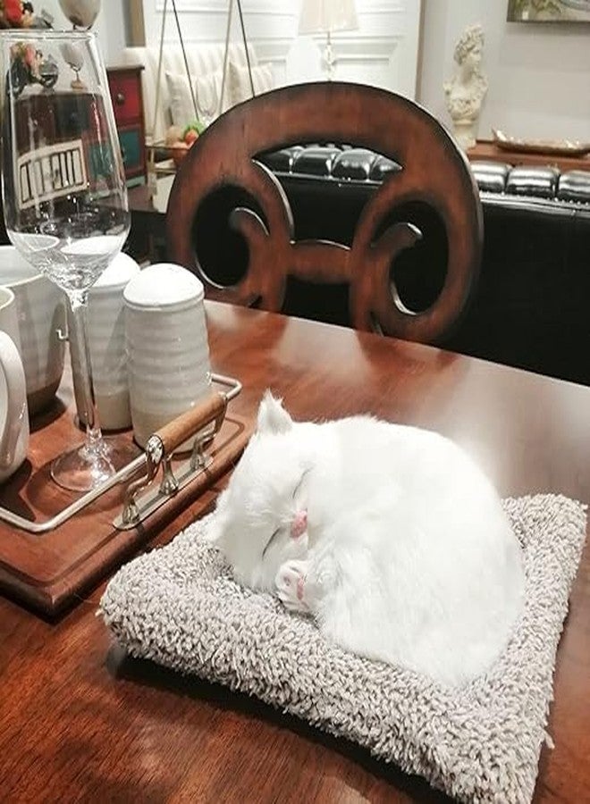 RPC99 Plastic Sleeping Cat Design Showpiece | Home Decor |Gift For Kids Car Dashboard Accessories 130G | 14Cm X 19Cm X 5Cm (White) - Image 4