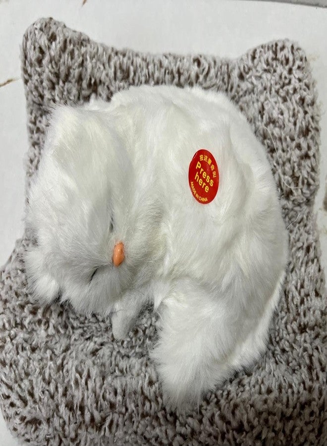 RPC99 Plastic Sleeping Cat Design Showpiece | Home Decor |Gift For Kids Car Dashboard Accessories 130G | 14Cm X 19Cm X 5Cm (White) - Image 5