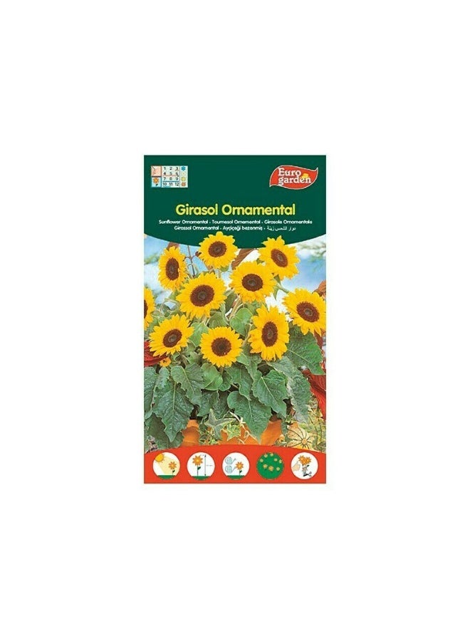 Euro Garden EG Sunflower Seeds