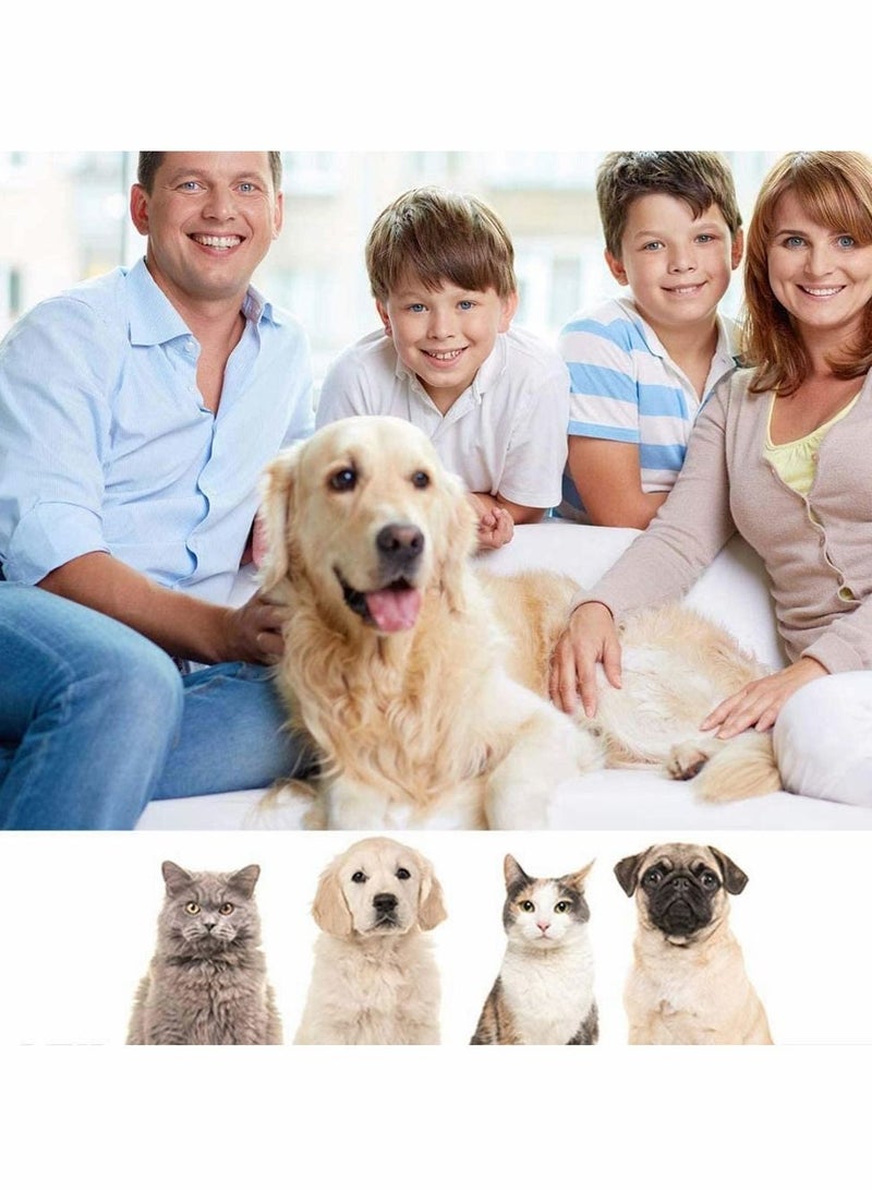 Excefore Pet Lice Clip Tick Remover Tool Tweezer - Image 4