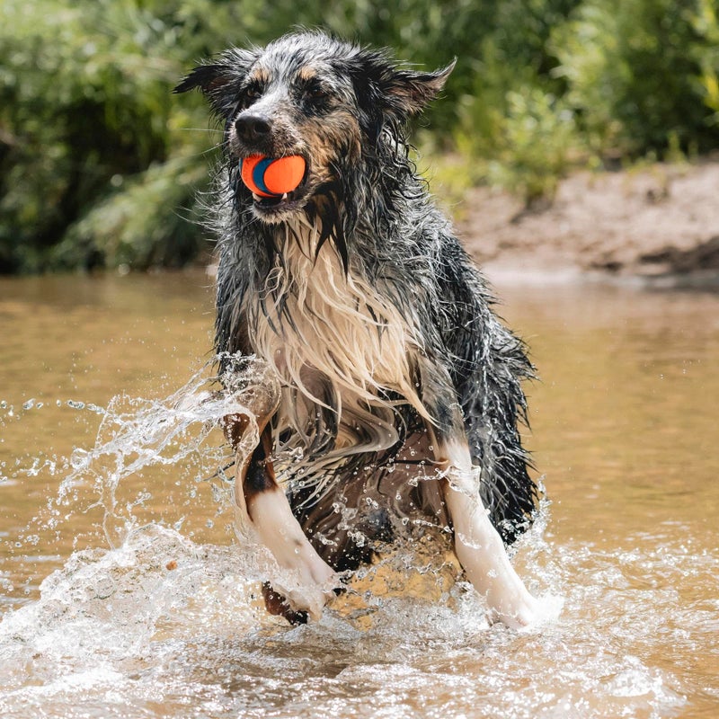 Chuckit! Ultra Ball Dog Toy - Size Large - For Dogs 60-100 lbs - Made from Durable Rubber - Super Bouncy - Floats in Water - 3-inch Diameter - Pack of 1 - Image 3