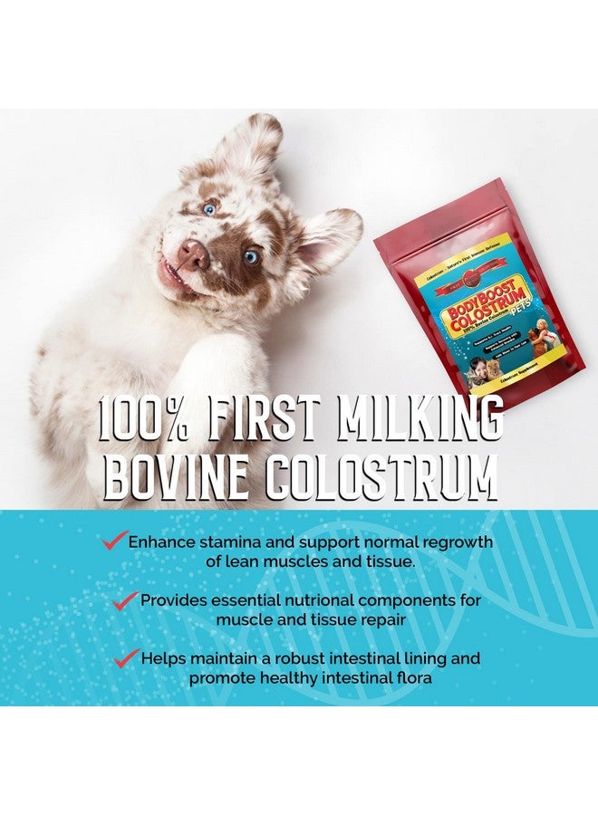 BodyBoost Bovine Colostrum for Dogs and Cats, Organic Immune Support Supplement for Allergy and Itch Relief, Grass Fed Colostrum Powder for Pets, Dog Gut Health, All Ages, 8 oz - Image 5