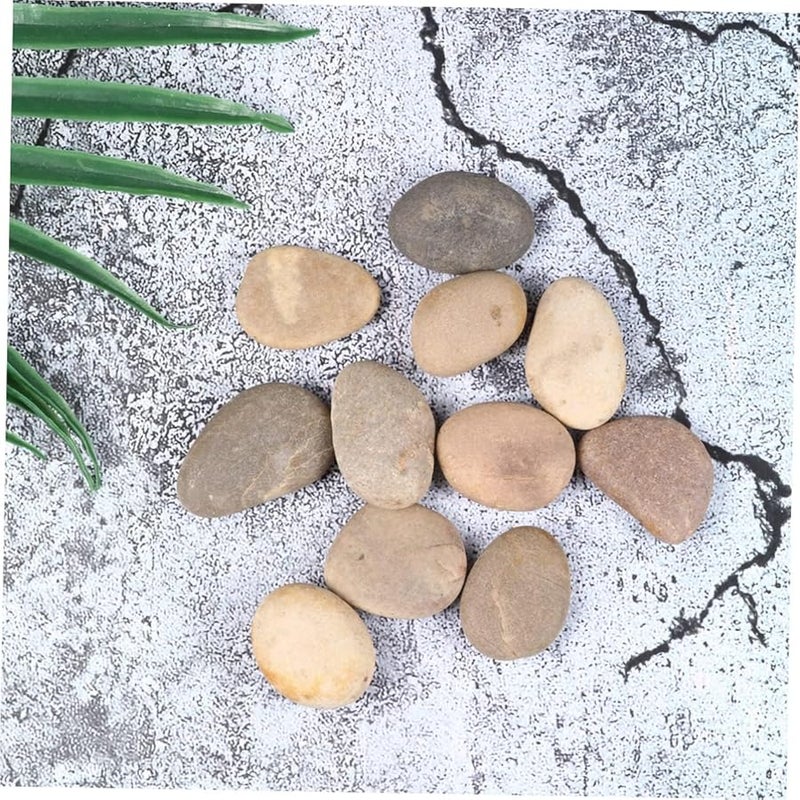 TEMPNAP Paint Rocks Craft Kit Smooth Stones for Painting Creative Natural Pebbles Bracket Set - Image 4