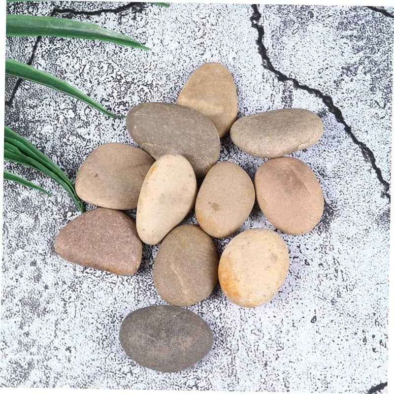 TEMPNAP Paint Rocks Craft Kit Smooth Stones for Painting Creative Natural Pebbles Bracket Set - Image 3