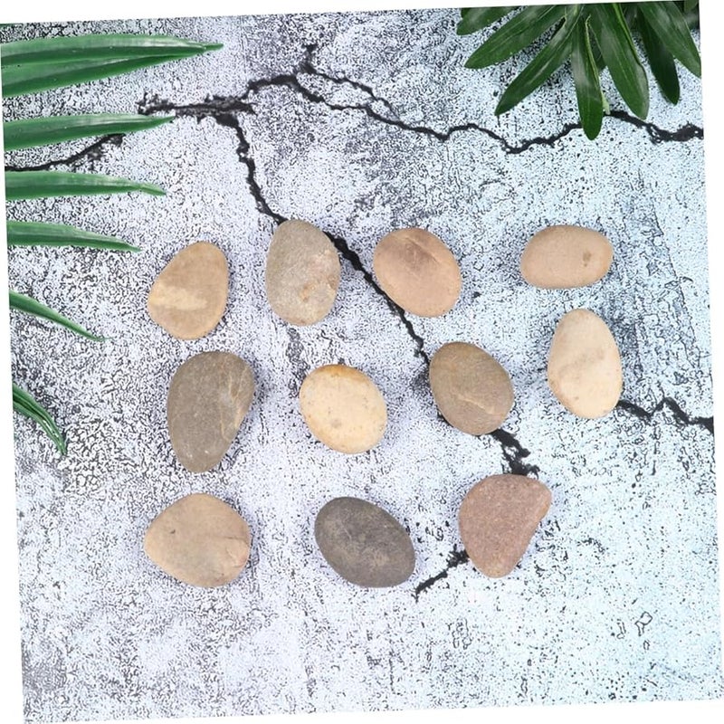 TEMPNAP Paint Rocks Craft Kit Smooth Stones for Painting Creative Natural Pebbles Bracket Set - Image 5
