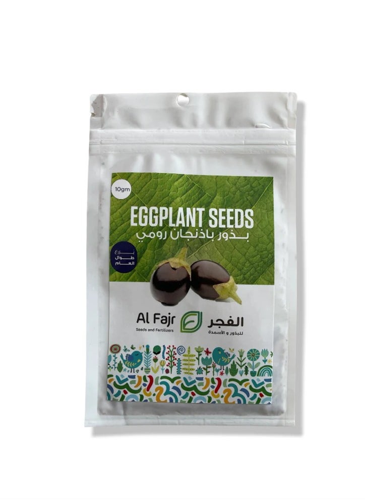 GROW - Big Eggplant seeds - Al Fajr - Image 1