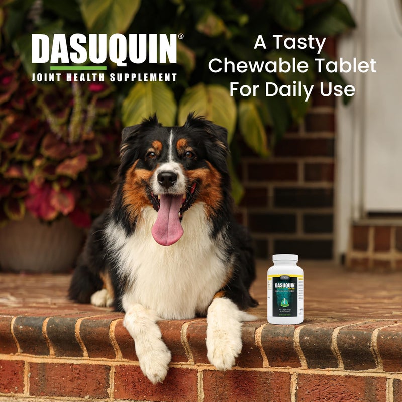 Nutramax Laboratories Nutramax Dasuquin for Large Dogs, Joint Health Supplement, Contains Glucosamine for Dogs, Plus Chondroitin, ASU, MSM and More, Supports Healthy Joints, Chewable Tablets, 84 Count - Image 4