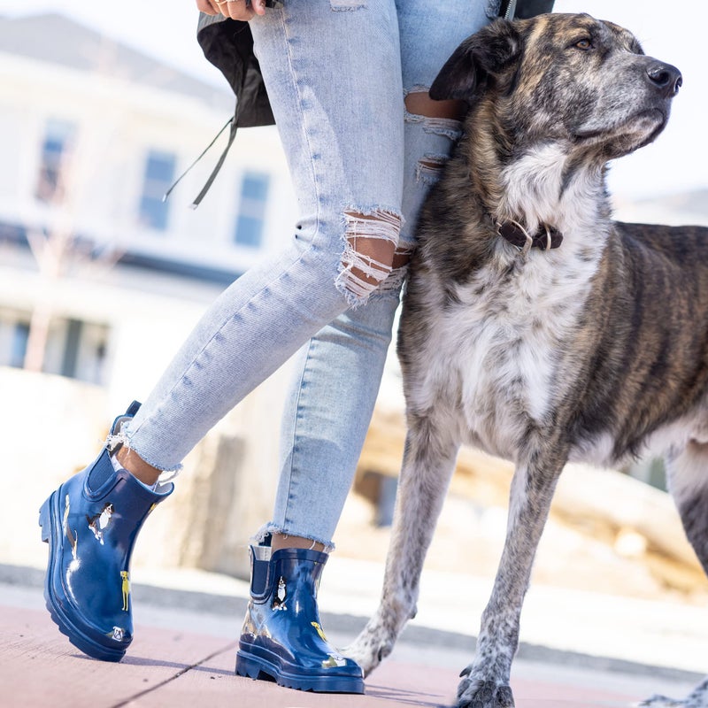 NORTY - Womens Ankle Rain Boots - Ladies Waterproof Winter Spring Garden Boot runs Â½ size large Dogs Navy Size 11 - Image 2