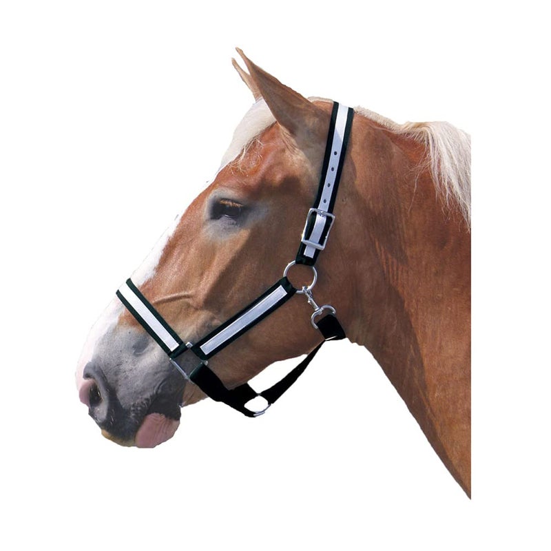 Intrepid International Draft Horse Nylon Halters with Overlay BlackSilver