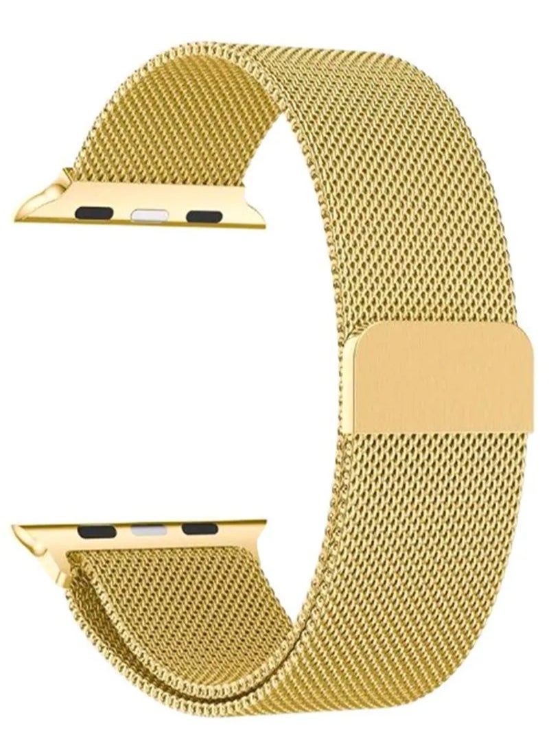 HEXABEX - Apple Watchband Compatible with 42mm(Series 10)/41mm/40mm/38mm Milanese Apple Watch Strap for Apple Watch All Series champagne Gold - Image 1
