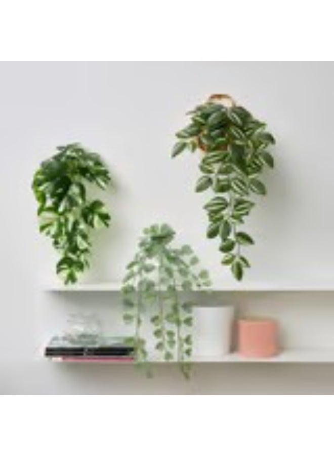 Artificial plant with wall holder  in outdoor green - Image 2
