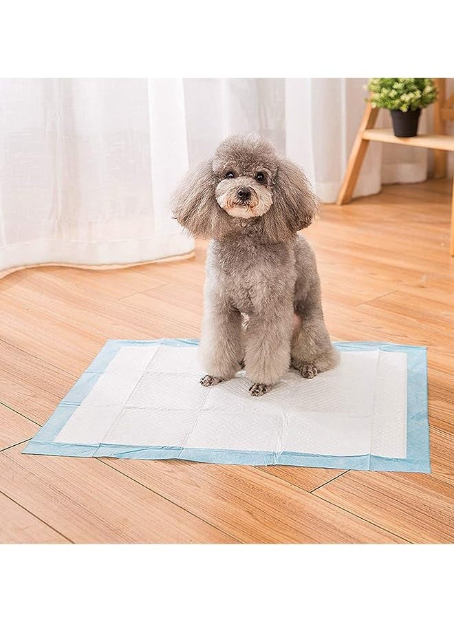 Generic - Pet Pee Pads Puppy Training Pads Extra Large Disposable Pet Underpads Quick Drying Leak-Proof Pee Pads for Dogs Cats and Rabbits(L 60*60CM) - Image 1
