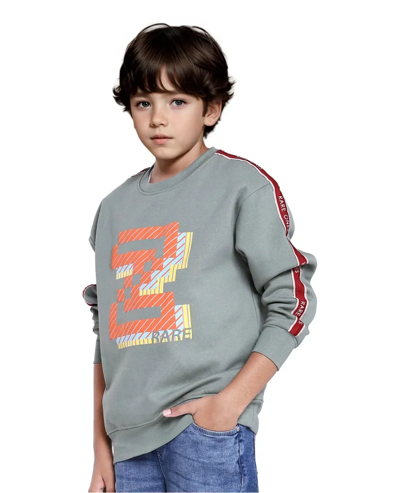 Rare Ones Rare Ones Kids Zet Dusky Green Cotton Poly Full Sleeve Puff Print Sweatshirt