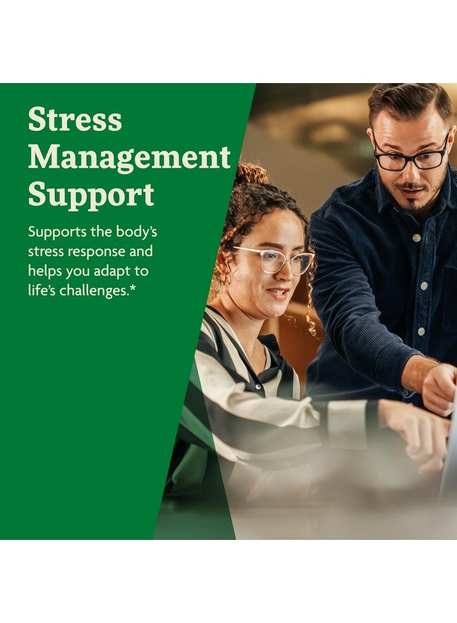 Floradix فلوراديكس أشواغاندا سائل عشبي وصيغة فيتامين - مكمل عشبي مع مستخلص أشواغاندا، فيتامين C، فيتامين B12 والمزيد - صيغة دعم الإجهاد* - نباتي وغير معدل وراثيًا - 8.5 أونصة سائلة - Image 4