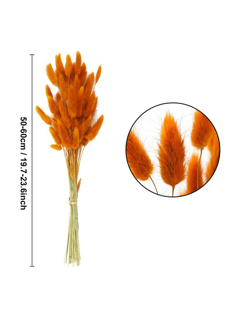 Natural Bunny Tails Dried Flowers, 60 Pcs Dried Lagurus Ovatus, Dried Pampas Grass Decor for Farmhouse Flower Arrangements Wedding Home Boho Party Decorations(Orange) - pzsku/Z4384CBC7B12B50C6CA98Z/45/_/1717030991/961362b6-7326-4bc1-aadf-a491c05119f1