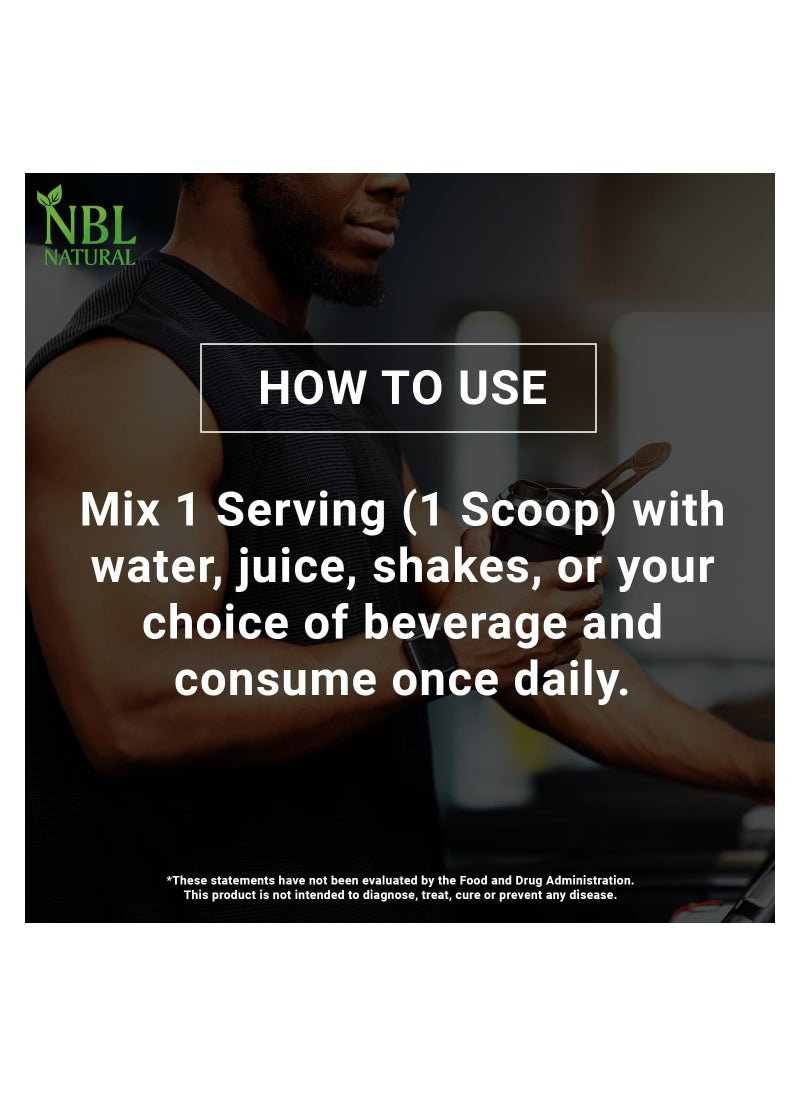 NBL Natural - Creatine Monohydrate Powder, Unflavored 400g, 80 Servings - Image 1