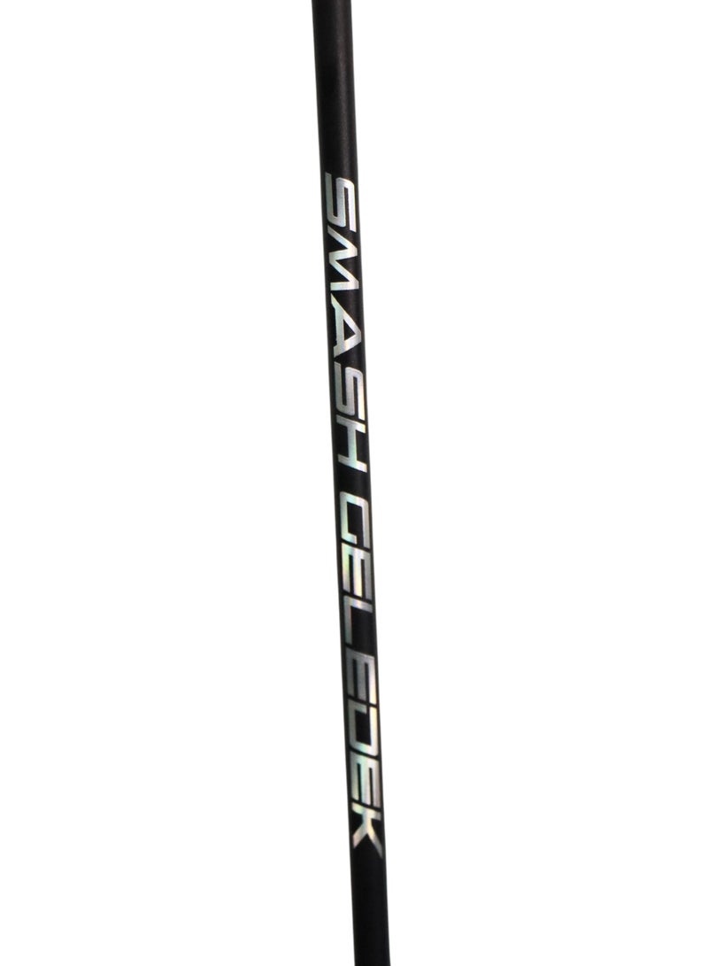 FLYPOWER Smash geledek flypower head heavy balance badminton racket - Image 5