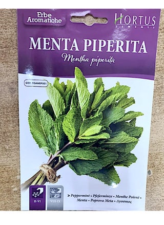 Peppermint Menta Piperita Premium Quality Seeds By Hortus - pzsku/Z43870EB1AA974CE57072Z/45/_/1735797355/c6f8d8c2-24b6-40f1-98f3-a7d34032fcd2