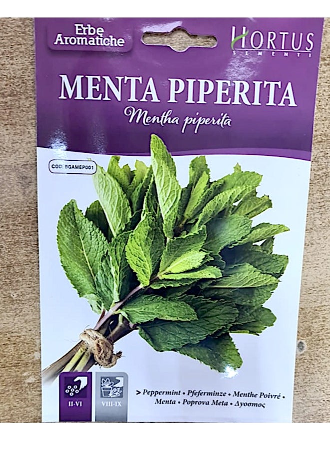 Peppermint Menta Piperita Premium Quality Seeds By Hortus