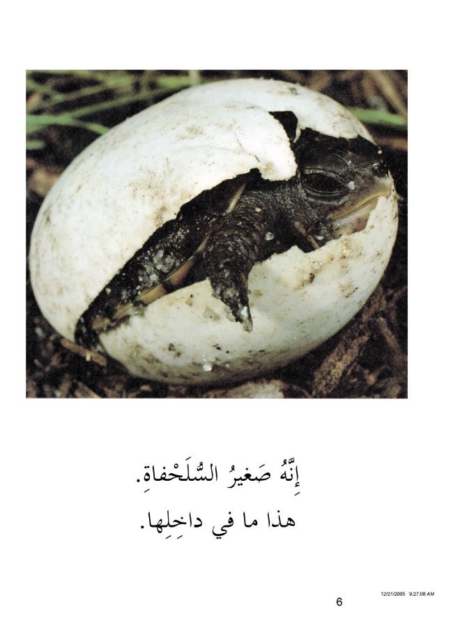 Malwhats Inside  - Image 2