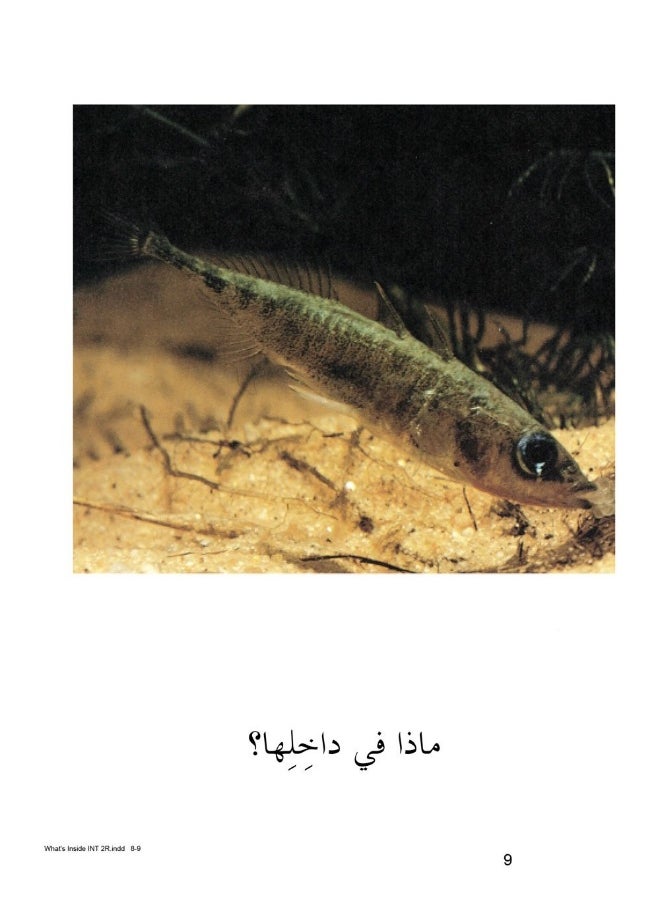 Malwhats Inside  - Image 5