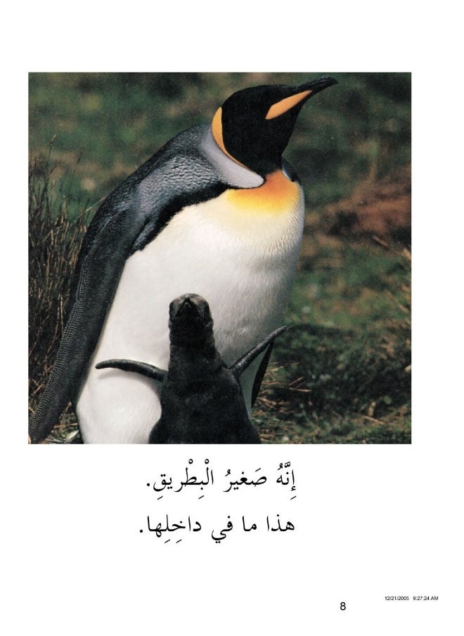Malwhats Inside  - Image 4