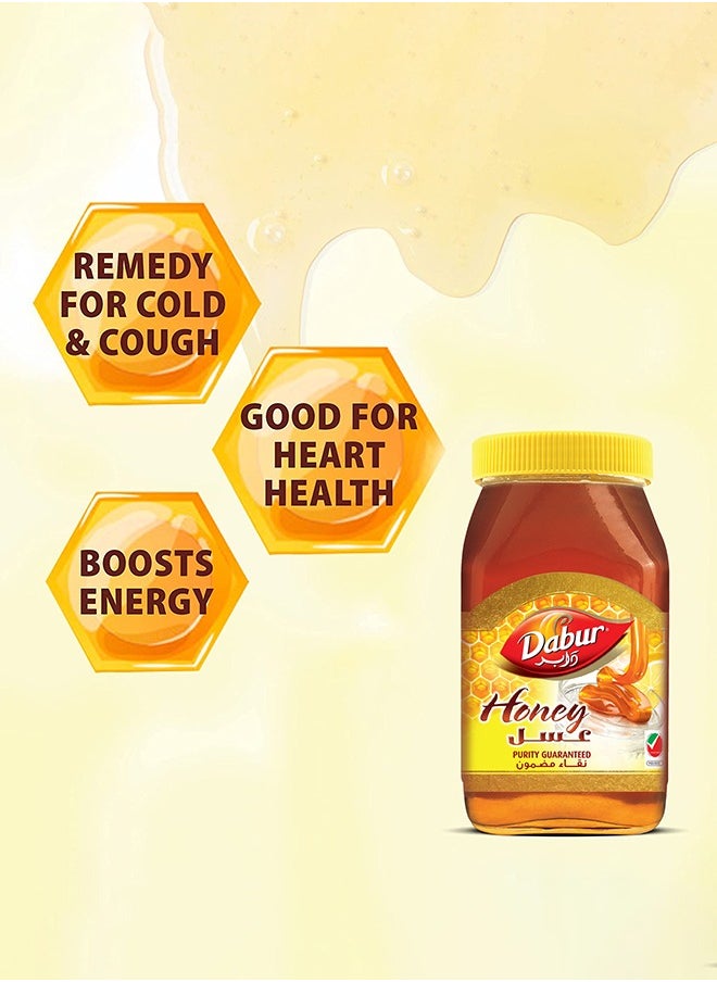 Dabur - Dabur Honey | 100% Pure & Natural | With No Sugar Adulteration - 250g + 50g Extra - Image 1