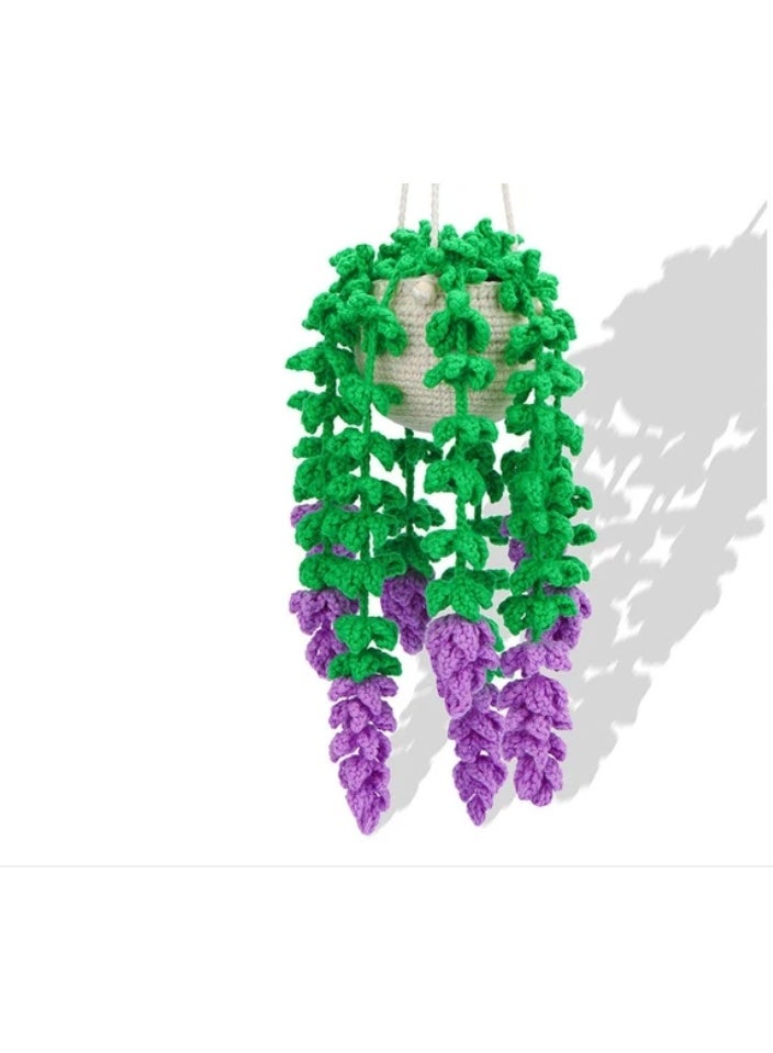 Beginners Crochet Kit, Amigurumi Crochet Starter Kits  Step-by-Step Video Tutorials, Hanging Potted Plants Knitting Starter Pack for Beginners Decoration, Wisteria Flower - Image 3