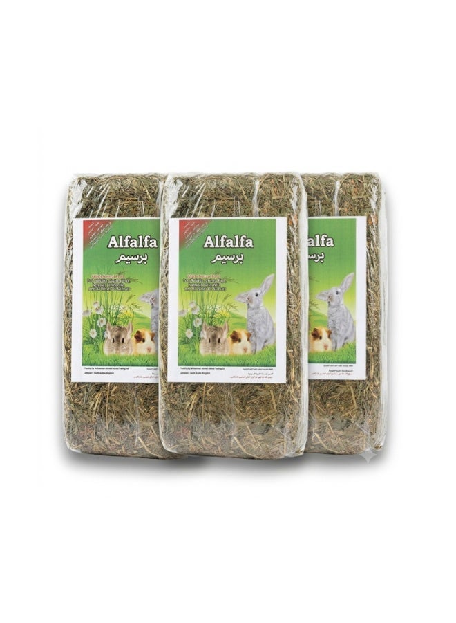 Natural Small Animal Food - 1kg (Pack of 3) | Alfalfa Barseem Hay for Rabbits, Guinea Pigs & Chinchillas (3kg Total)