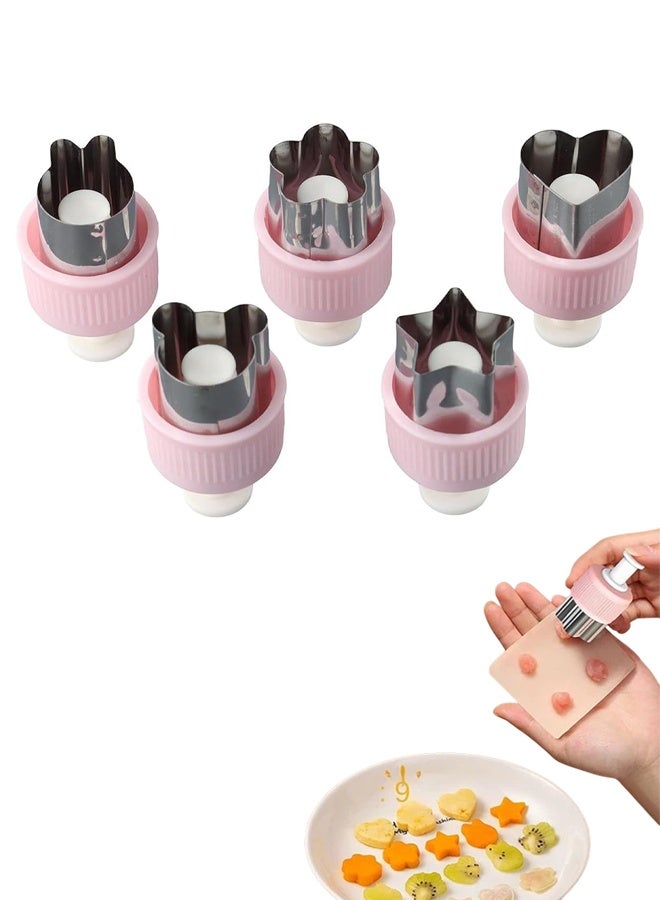 مجموعة من 5 قطع قوالب بسكويت من الفولاذ المقاوم للصدأ ، مجموعة قطع بسكويت للكعك والبسكويت والسندويشات ، قالب الفاكهة والخضروات على شكل زهرة للأطفال الأولاد والبنات البالغين. - Image 1