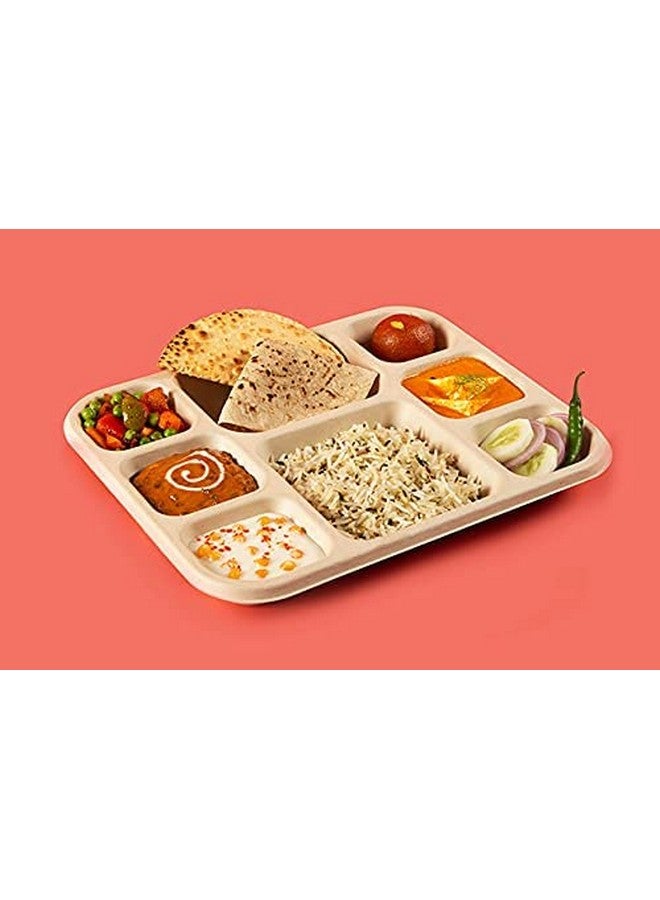 Amit Marketing أطباق أميت ماركتينغ القابلة للاستخدام مرة واحدة | أطباق مربعة قابلة للتحلل للأطعمة | قابلة للتسميد، مقاومة للتسرب، صديقة للبيئة، آمنة وصحية | أطباق للحفلات، الفعاليات | بيج، 25 قطعة (طبق - 8 CP) - Image 2