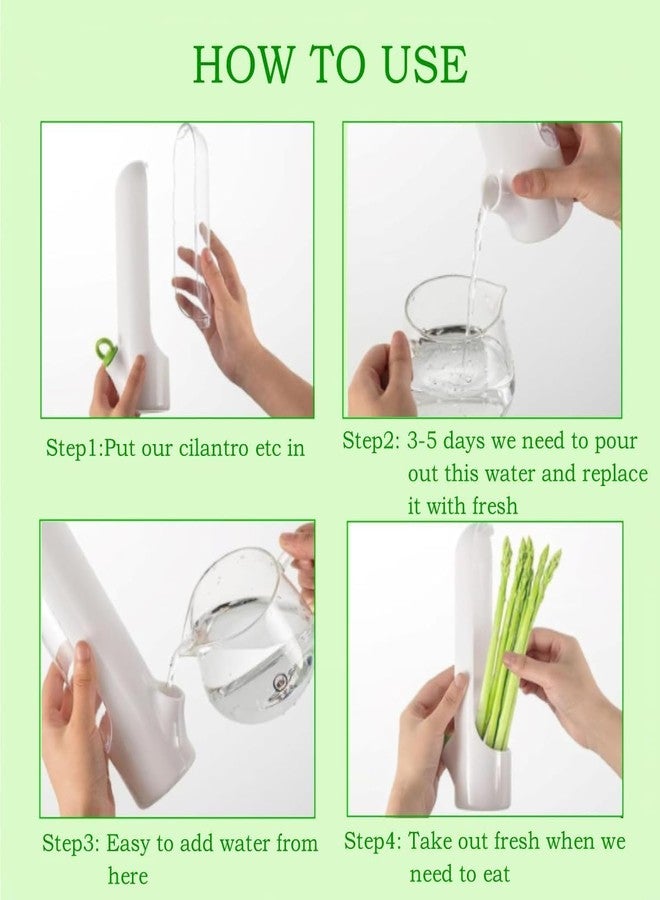 TRICWELL Fresh Herb Keeper Pod, Herb Savor for Refrigerator - Keeps Cilantro, Parsley, and Asparagus Fresh for 3 Weeks - BPA-Free Transparent Storage Container with Water Reservoir (Herb saver 2pcs) - Image 4