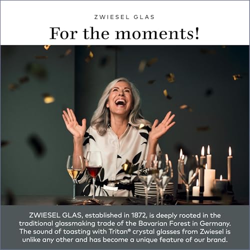 SCHOTT ZWIESEL ZWIESEL GLAS Paris Iceberg Long Drink Glass 16.5 Ounce (Set of 6), Drinking Glasses for Long Drinks, Dishwasher-Safe Tritan Crystal Glasses, Made in Germany - Image 5