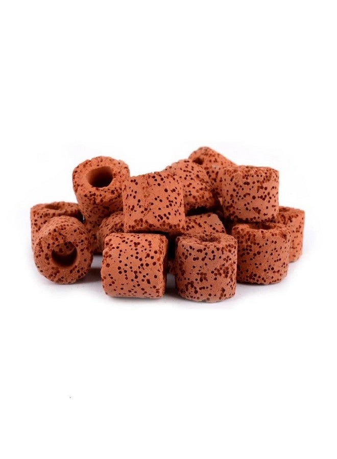 ويستيرن إرا فلتر طاقة خارجي لحوض السمك، وسائط ترشيح مسبقة، حلقات سيراميك، مجموعة ترشيح من الكربون النشط لحوض السمك والبركة والمسبح (500 جرام) - Image 1