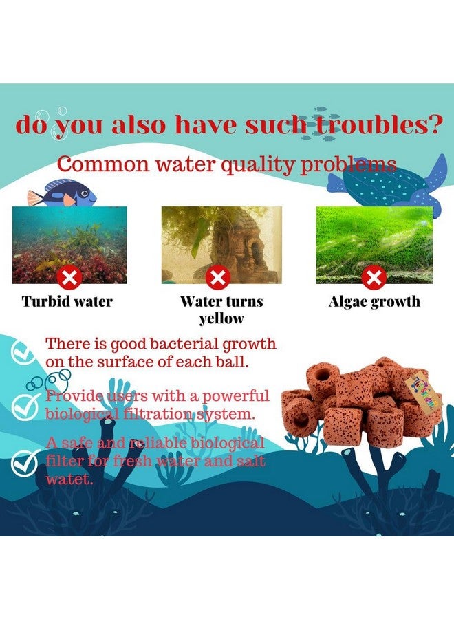 ويستيرن إرا فلتر طاقة خارجي لحوض السمك، وسائط ترشيح مسبقة، حلقات سيراميك، مجموعة ترشيح من الكربون النشط لحوض السمك والبركة والمسبح (500 جرام) - Image 3