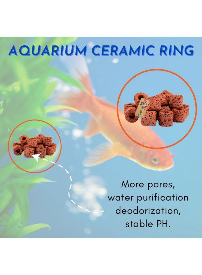 ويستيرن إرا فلتر طاقة خارجي لحوض السمك، وسائط ترشيح مسبقة، حلقات سيراميك، مجموعة ترشيح من الكربون النشط لحوض السمك والبركة والمسبح (500 جرام) - Image 2