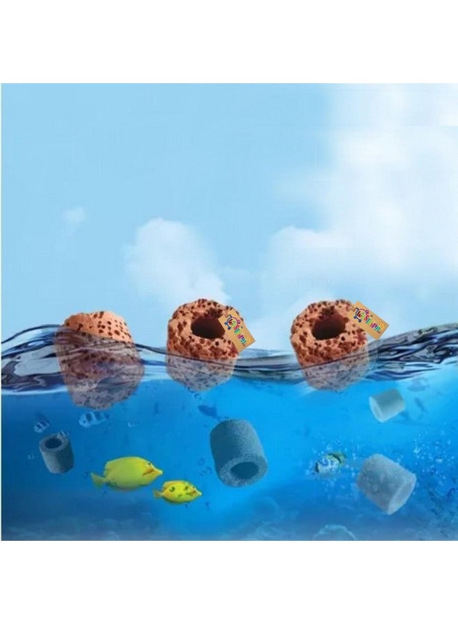 ويستيرن إرا فلتر طاقة خارجي لحوض السمك، وسائط ترشيح مسبقة، حلقات سيراميك، مجموعة ترشيح من الكربون النشط لحوض السمك والبركة والمسبح (500 جرام) - Image 4