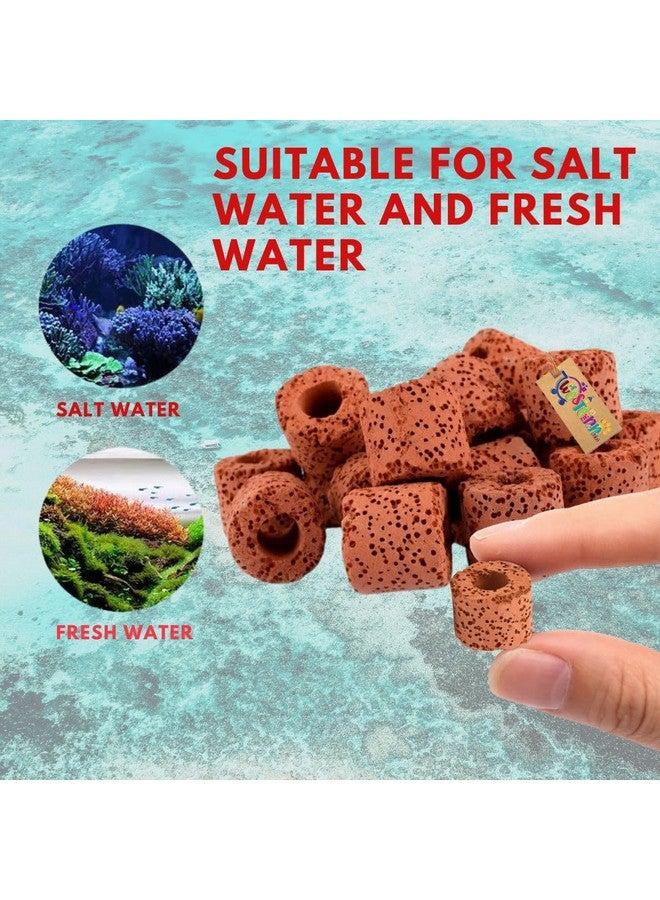 ويستيرن إرا فلتر طاقة خارجي لحوض السمك، وسائط ترشيح مسبقة، حلقات سيراميك، مجموعة ترشيح من الكربون النشط لحوض السمك والبركة والمسبح (500 جرام) - Image 5