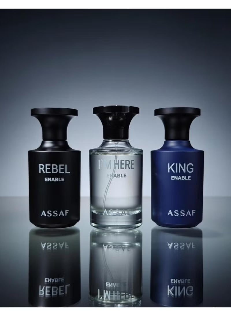 ASSAF Rebel Perfume Set 3* 100ml - Image 2