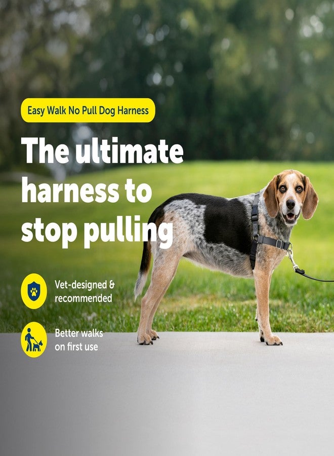 بيت سيف سرج PetSafe Easy Walk للكلاب - السرج الأمثل للمساعدة في منع الشد - نزهات بدون شد - تحكم في كلبك وعلمه آداب المشي بالزمام - تصميم حلقة مارتينجال الحاصل على براءة اختراع - رمادي، صغير/متوسط - Image 2