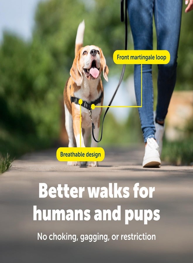 بيت سيف سرج PetSafe Easy Walk للكلاب - السرج الأمثل للمساعدة في منع الشد - نزهات بدون شد - تحكم في كلبك وعلمه آداب المشي بالزمام - تصميم حلقة مارتينجال الحاصل على براءة اختراع - رمادي، صغير/متوسط - Image 4