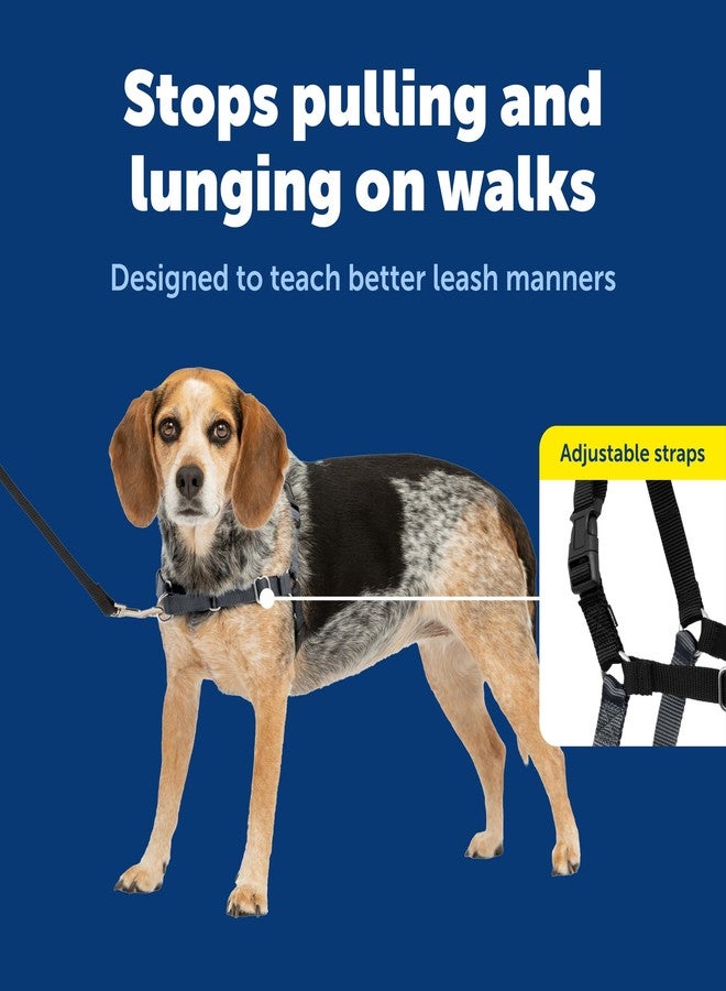 بيت سيف سرج PetSafe Easy Walk للكلاب - السرج الأمثل للمساعدة في منع الشد - نزهات بدون شد - تحكم في كلبك وعلمه آداب المشي بالزمام - تصميم حلقة مارتينجال الحاصل على براءة اختراع - رمادي، صغير/متوسط - Image 3
