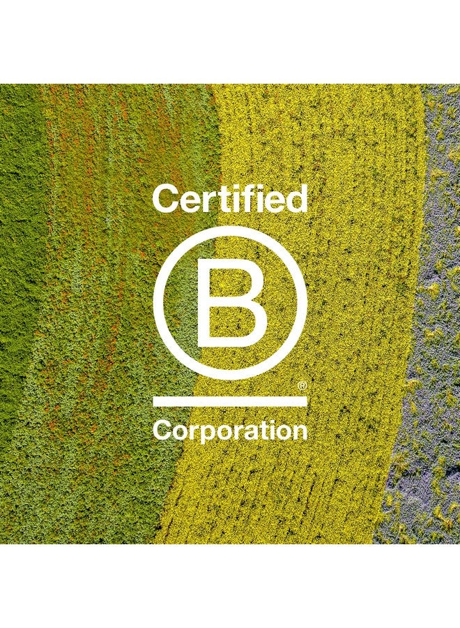 دافينز شامبو دافينيس ناتشورال تيك ريبلومبينج، تنظيف لطيف لإضافة الترطيب والمرونة والحماية، إضافة الامتلاء، 8.45 أونصة سائلة. - Image 3