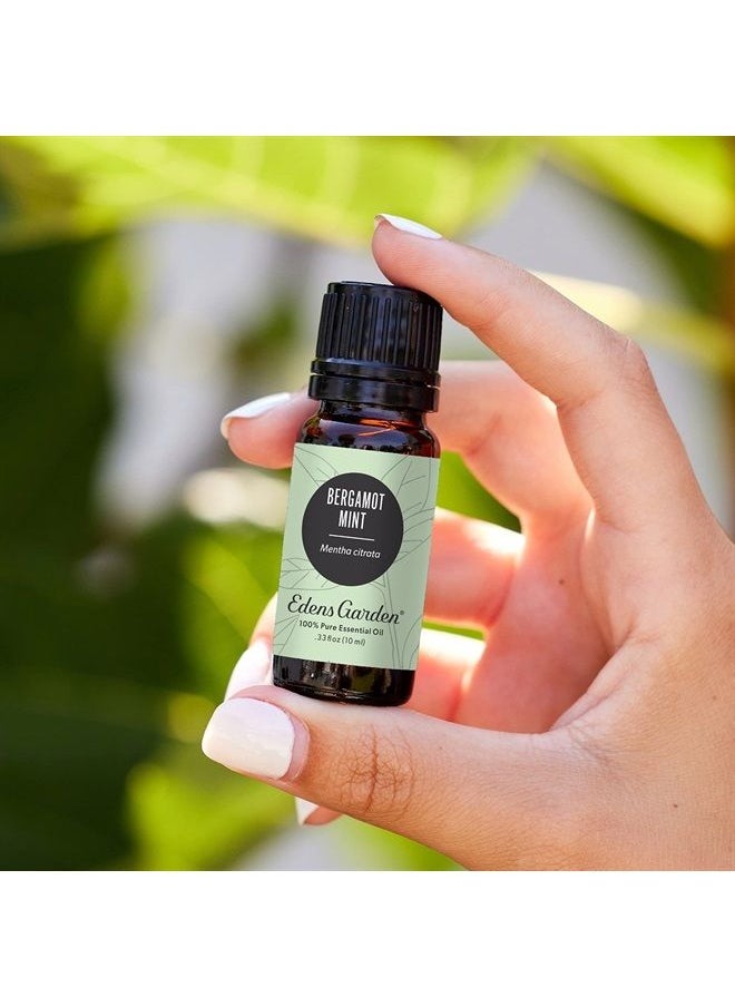 Edens Garden Bergamot Mint Essential Oil, 100% Pure Therapeutic Grade (Undiluted Natural/Homeopathic Aromatherapy Scented Essential Oil Singles) 30 ml  - Image 1