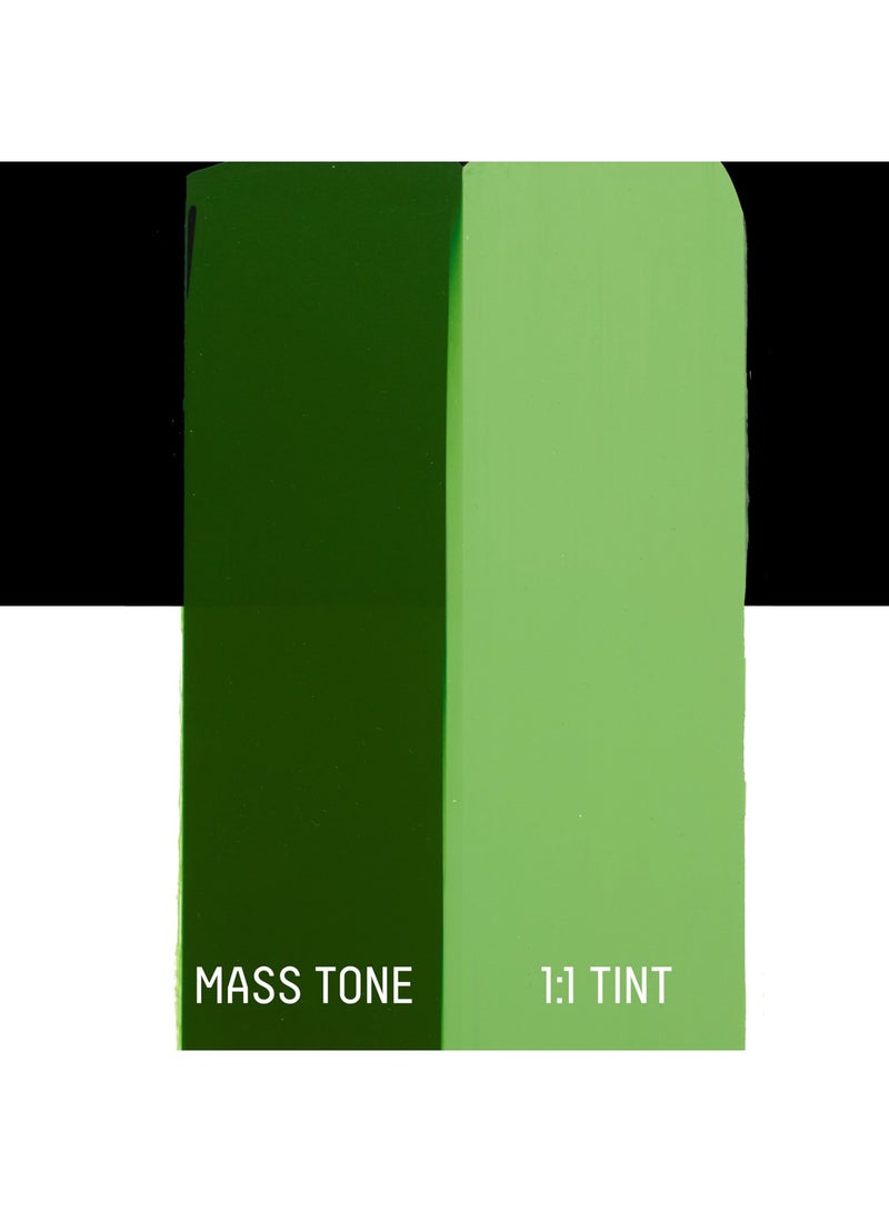 Liquitex Basics Acrylic Colour Paint Tube 118ml Content Hookers Green Hue Permanent - Image 3