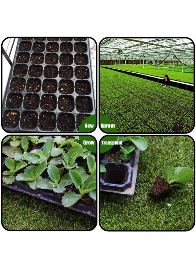 AIFUSI مجموعة بدء البذور AIFUSI 10 عبوة، 72 خلية صواني شتلات الزراعة، صواني بلاستيكية لزراعة الشتلات، أصص حضانة، مجموعة زراعة النباتات، صواني بدء لزراعة الشتلات - Image 4