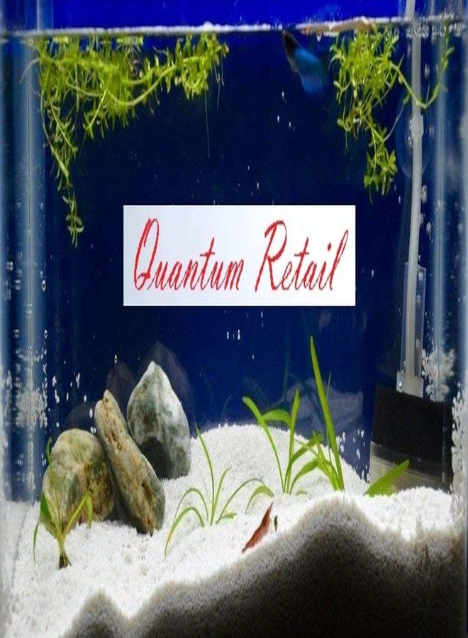 Quantum Retail - (2.5 Kg) Sugar Size White Sand for Home and Garden Decor; Aquarium Substrate; Terrarium - Image 5