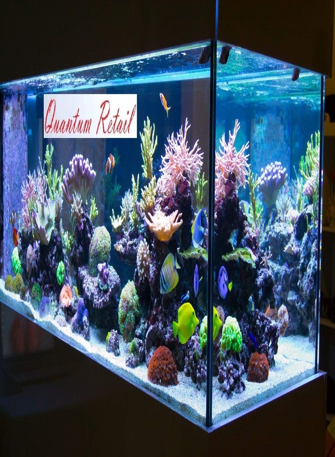 Quantum Retail - (2.5 Kg) Sugar Size White Sand for Home and Garden Decor; Aquarium Substrate; Terrarium - Image 4