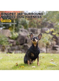 BINGPET Small Dog Harness - Breathable Mesh Puppy Cat Harnesses - No Pull Adjustable Dog Harness Dog Vest Harness for Small and Medium Dogs  - Image 2