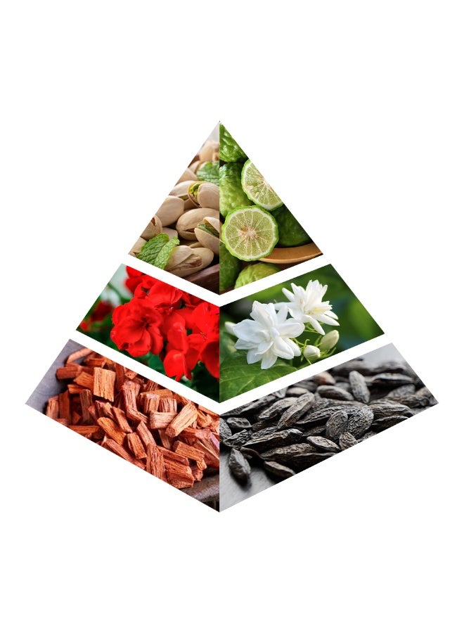 كاركتر لو دولتشي بيستاشيو بليس أو دو بارفان حسب كيراكتر - 100 مل - Image 4